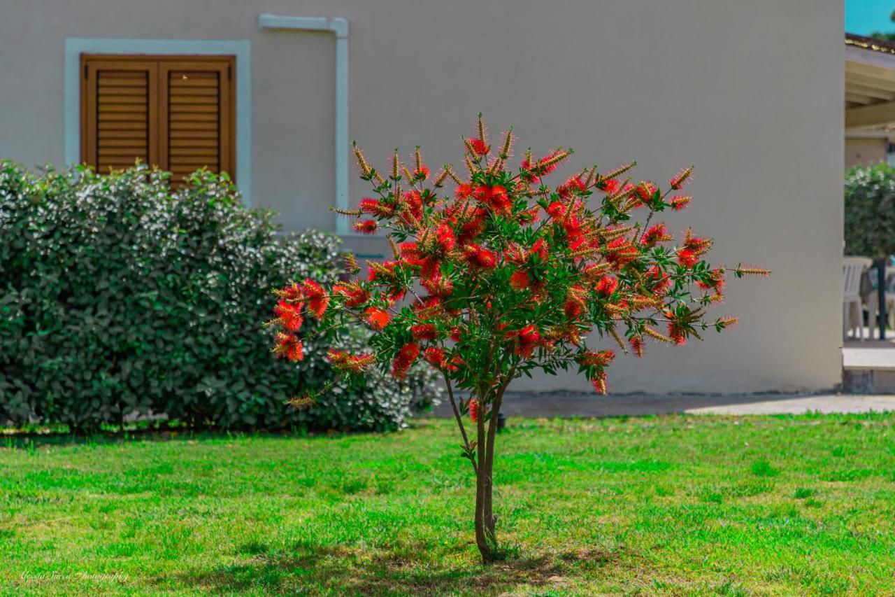 Stella Marina Budoni Buitenkant foto